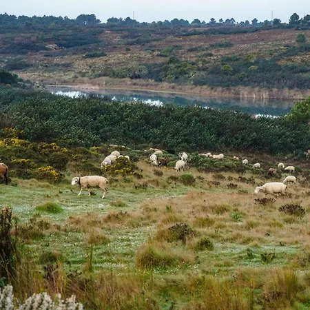 Maresoul - Ferienapartment Soul * Raposeira (Faro)